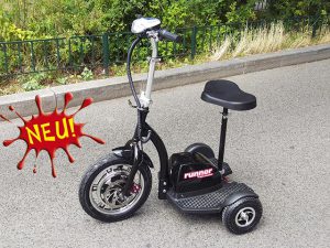 E Scooter Dreirad RUNNER