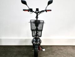 E-Roller E-JOY hinten