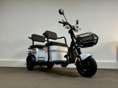 Elektro-Dreirad Tandem GULL weiß vorne