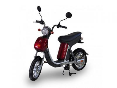 Elektro-Scooter Prinz