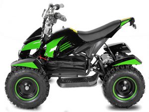 Eco Cobra Elektro-Quad